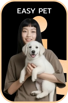 Easy Pet