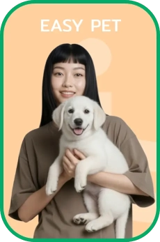 Easy Pet